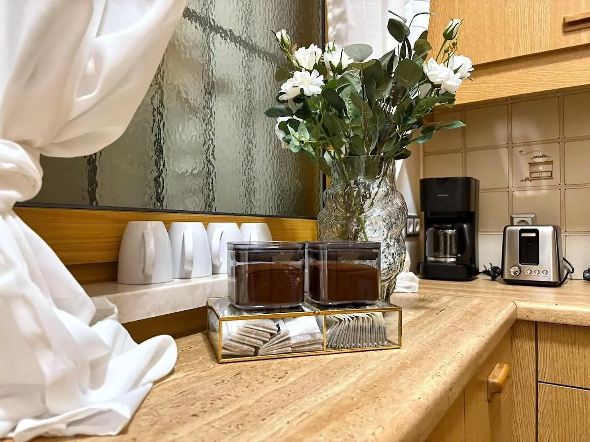 Apartment For Big Groups Up To 14 I Close To Akh I Fast Wifi Vienna Austria